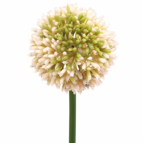 Koriste sipuli Allium keinotekoinen vaaleanpunainen / vihreä Ø8cm 58cm