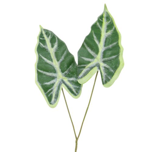 Floristik24 Alocasia Elephant Ear Arrow Leaf Keinotekoiset kasvit Vihreä 55cm