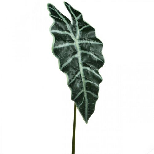 Floristik24 Keinotekoinen nuolenlehti tekokasvi alocasia deco green 74cm