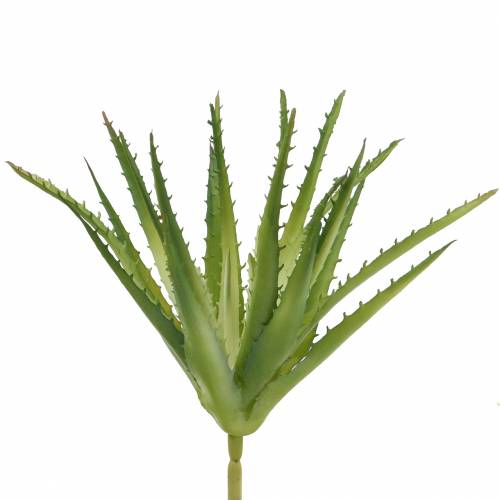 Aloe Vera Keinotekoinen Vihreä 26cm