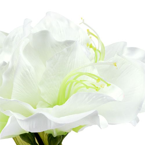 kohteita Amaryllis kukka valkoinen L 73cm 2kpl
