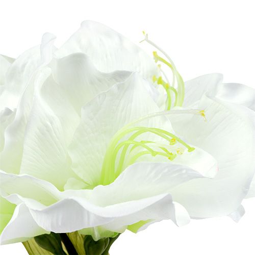 Floristik24 Amaryllis kukka valkoinen L 73cm 2kpl