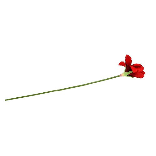 Floristik24 Amaryllis punainen L 68cm 1kpl