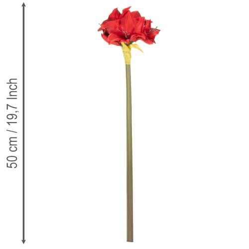 Keinotekoinen punainen amarylliskukka varrella, kukkakoriste jouluksi, 50 cm | Floristik24.fi
