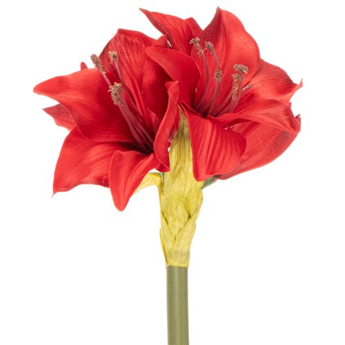 Keinotekoinen punainen amarylliskukka varrella, kukkakoriste jouluksi, 50 cm | Floristik24.fi