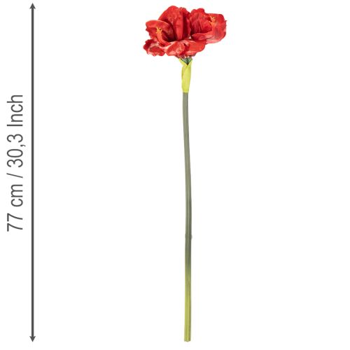 Keinotekoinen amarylliskukka, punainen, pitkävartinen, maljakkoon ja asetelmaan, 77 cm | Floristik24.fi