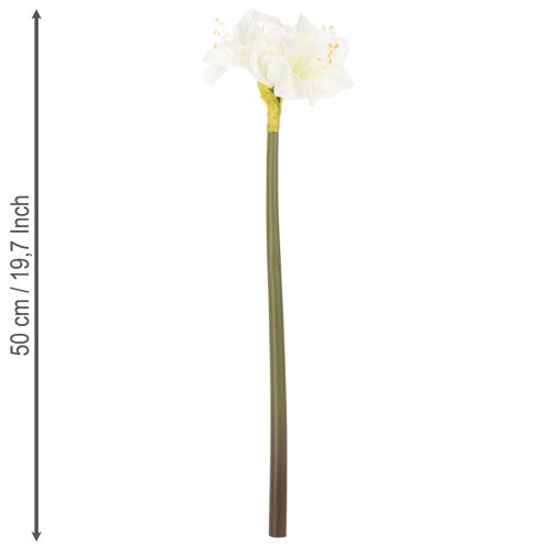 Keinotekoinen amarylliskukka, valkoinen, varren kanssa, adventti ja joulu, 50 cm | Floristik24.fi