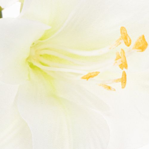 Keinotekoinen amarylliskukka, valkoinen, varren kanssa, adventti ja joulu, 50 cm | Floristik24.fi