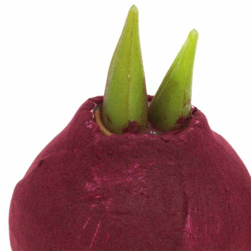 Floristik24 Amaryllis-sipuli Keinotekoinen Burgundy H12,5cm 3kpl