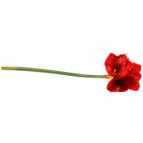 kohteita Amaryllis punainen 75cm