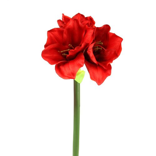 Floristik24 Amaryllis keinotekoinen 60cm punainen
