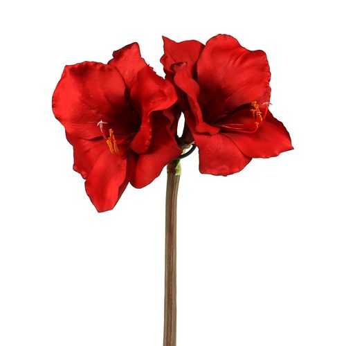 Floristik24 Amaryllis keinotekoinen suuri punainen 96,5 cm