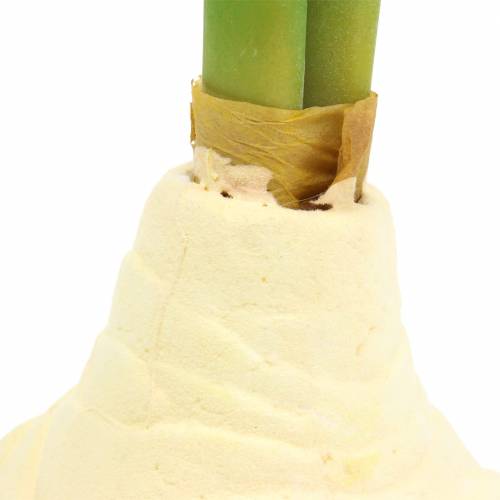 Floristik24 Amaryllis-mukula silmuilla Keinotekoinen valkoinen K30cm