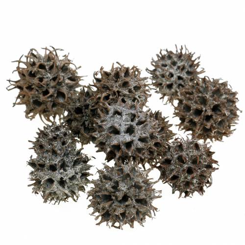Sweetgum käpyjä luontopesty valkoinen 250g