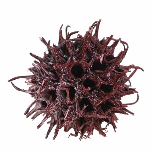 kohteita Punaiset sweetgum-kävyt kuorrutetut 250g