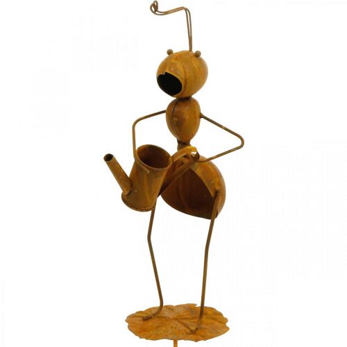 Floristik24 Koristeellinen pistoke muurahainen, sängyn koristelu, muurahainen kastelukannulla, kukka pistoke ruostumatonta terästä