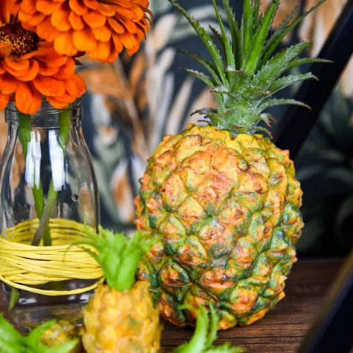 Floristik24 Ananas minikeinotekoinen 20cm