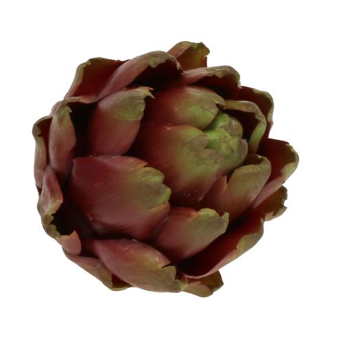 Floristik24 Artisokan ruskea, vihreä Ø10cm K11cm