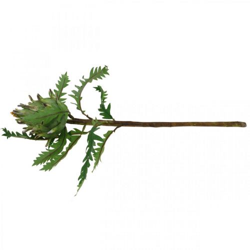 kohteita Keinotekoinen Artisokka Vihreä Deco Syksy Ø7,5cm H43cm