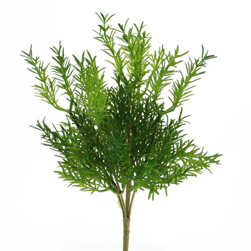 Parsan poiminta 26cm