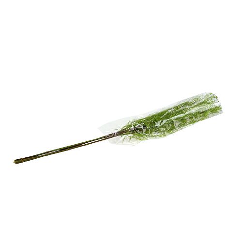 Floristik24 Parsan oksa 75cm vihreä 3kpl