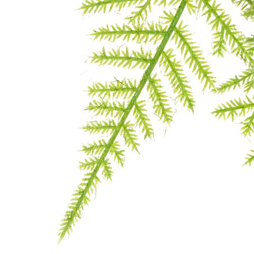 kohteita Keinotekoinen parsa riippuvaksi kasviksi vähähuoltoiseksi kodin sisustukseksi, 75 cm