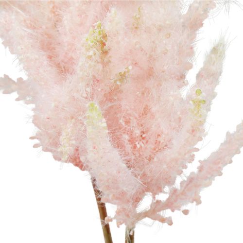 kohteita Astilbene Pink tekokasvit 47/60cm 3 kpl nippu