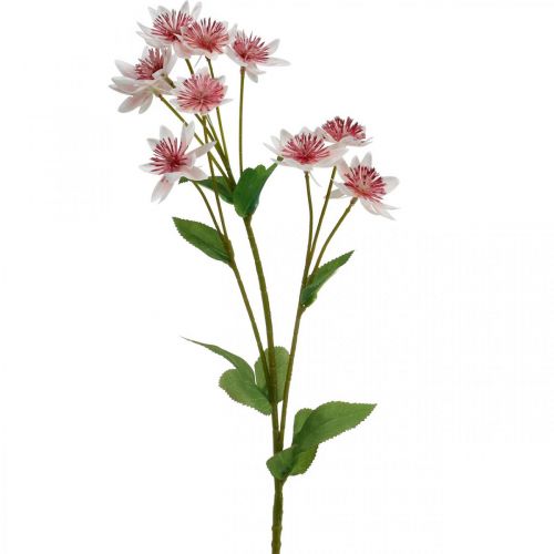 Floristik24 Suuri Masterwort Artificial Astrania Silk Flower Valkoinen Pinkki L61cm