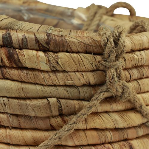 Floristik24 Vesihyasintin ripustuskori 25/31cm 2 kpl