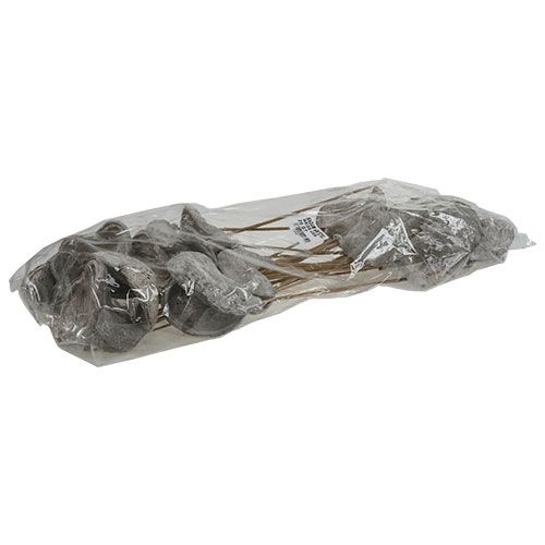 kohteita Badam kepillä kalkittu 12cm L55cm 23 kpl