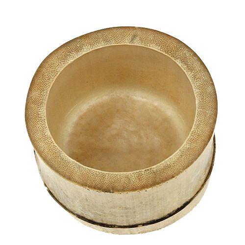 Floristik24 Bambukylvökone Ø7cm K10cm