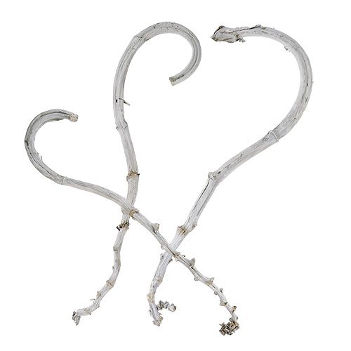 Floristik24 Banaanitikku valkoinen 5 kpl