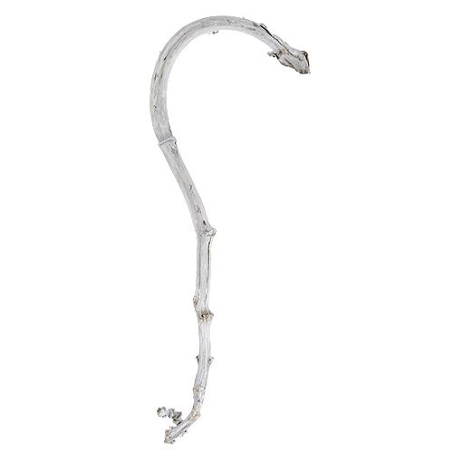 kohteita Banaanitikku valkoinen 5 kpl