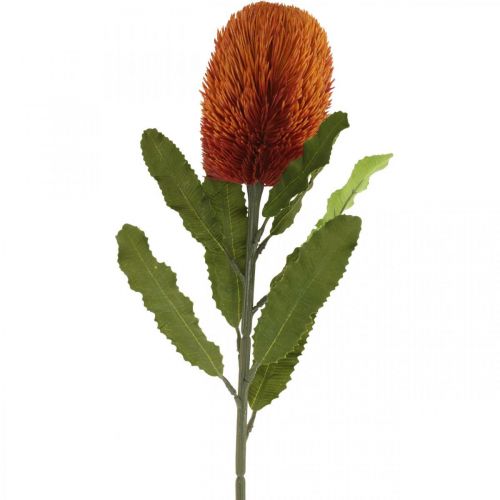 Keinotekoinen kukka Banksia oranssi syksyn koristelu hautajaiset kukka 64cm
