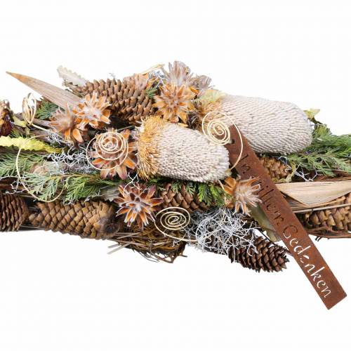 Floristik24 Banksia Hookerana natural 7 kpl