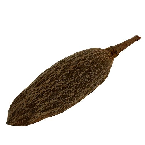 Floristik24 Baobab kulho luonnollinen 30cm - 38cm kuorittu