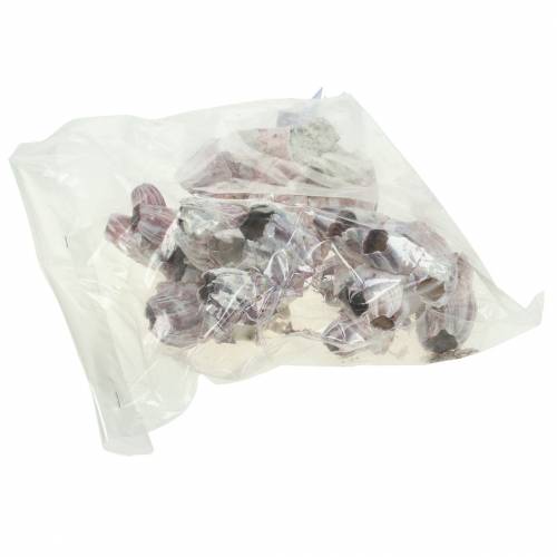 Floristik24 Koristeellinen kuorivarsi luonnollinen 12-16cm 3 kpl