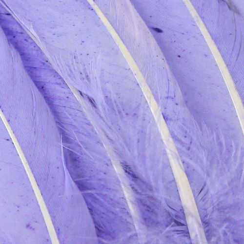 kohteita Purppuraisiin hanhenhöyheniin värjättyjä askarteluhöyheniä 20g x 2kpl