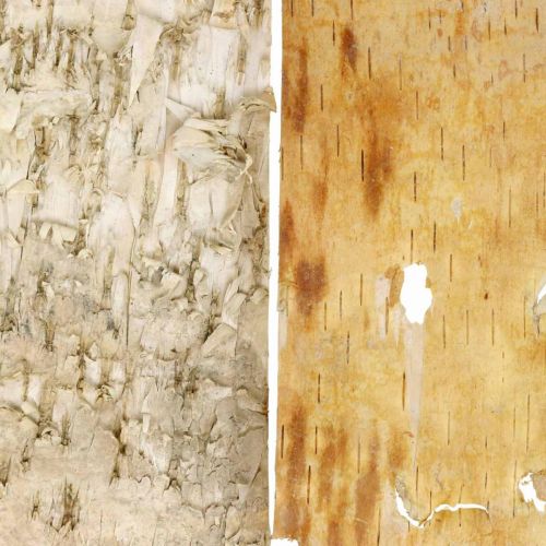 Floristik24 Puunkuoren koristeelliset kuorinauhat luonnonkuori 30×12cm 6 kpl