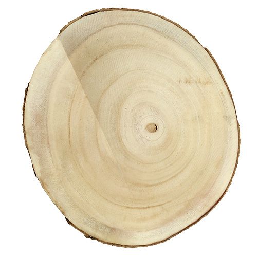 Floristik24 Luonnonpuu viipale Ø20cm - 30cm