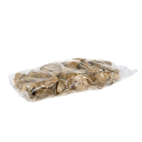 Floristik24 Puinen sieni luonnollinen 2kg