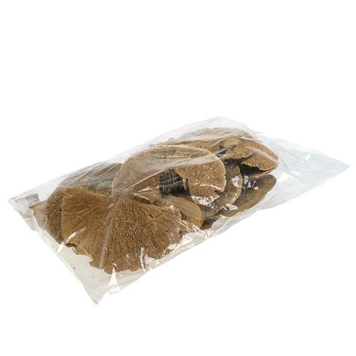 Floristik24 Puusieni luonne 500g