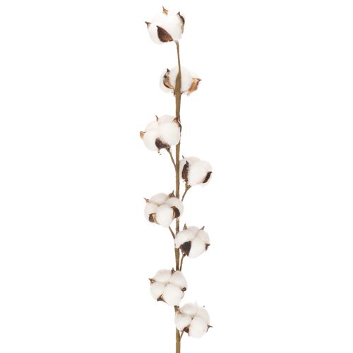 Keinotekoinen puuvillaoksa, jossa 8 aitoa kukkaa, 78 cm
