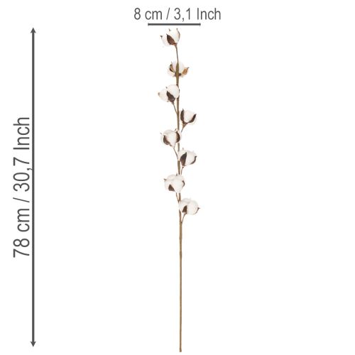 Keinotekoinen puuvillaoksa, jossa 8 aitoa kukkaa, 78 cm | Floristik24.fi
