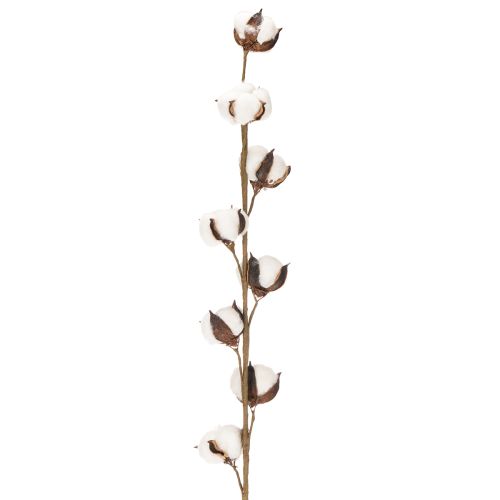 Keinotekoinen puuvillaoksa, jossa 8 aitoa kukkaa, 78 cm | Floristik24.fi