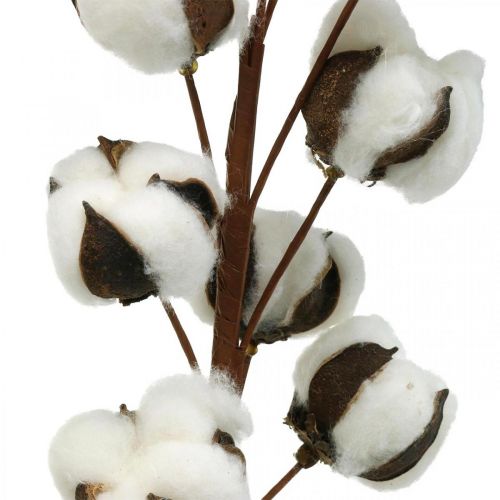 Puuvillanoksa luonnollinen koriste 10 päätä langalla puuvillakoriste 68cm
