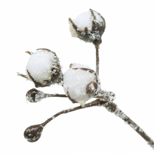 Floristik24 Jääpuuvilla haara 47cm