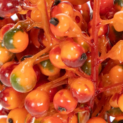 Oranssinvärisiä marjoja, 20 cm pitkä nippu | Floristik24.fi