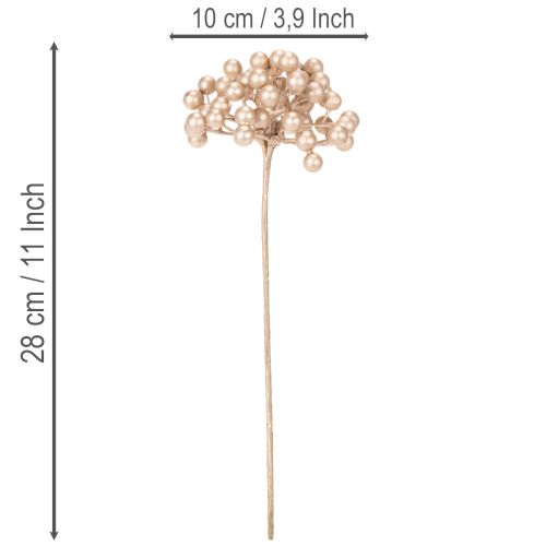 Keinotekoinen marjanoksa, samppanjanvärinen koriste, 28 cm, 3 kpl | Floristik24.fi
