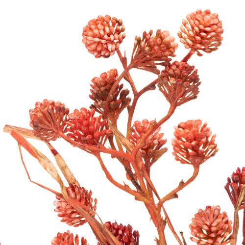 Keinotekoinen marjanoksa, elävän näköinen syyskoriste, 68cm | Floristik24.fi